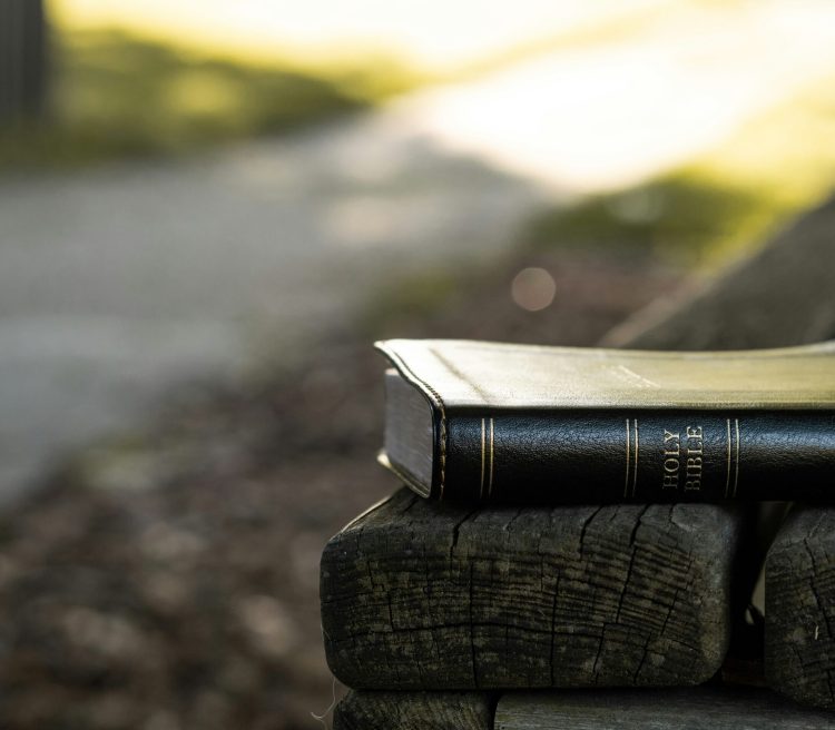 aaron-burden-MYu49bghVAM-unsplash